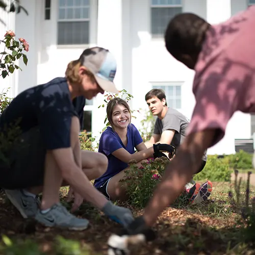 Students planting flowers.